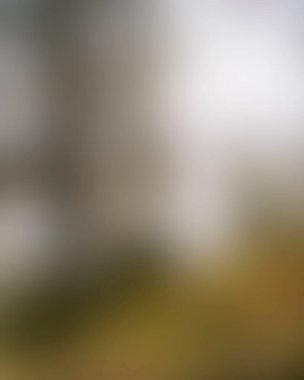 Abstract blur background of colors mixed 