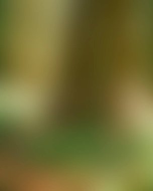 Abstract blur background of colors mixed 