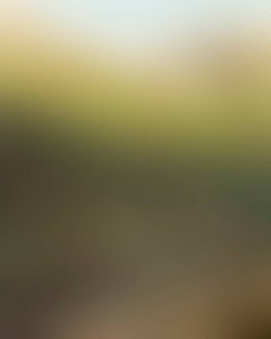 Abstract blur background of colors mixed 