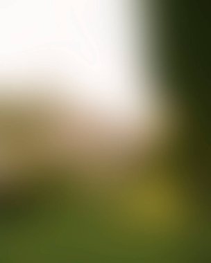 Abstract blur background of colors mixed 