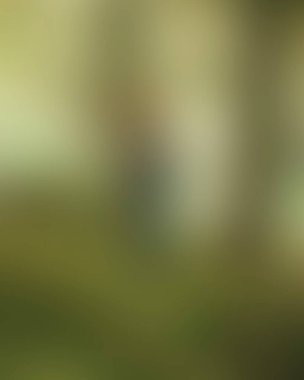 Abstract blur background of colors mixed 