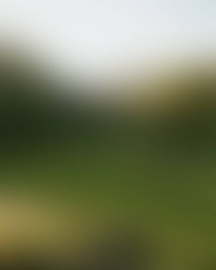 Abstract blur background of colors mixed 