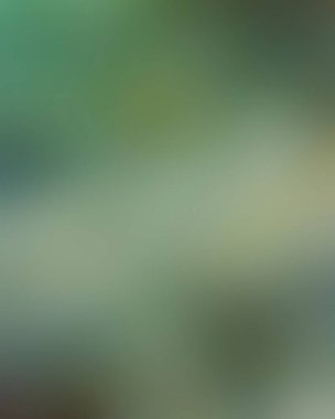 Abstract blur background of colors mixed 