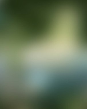 Abstract blur background of colors mixed 