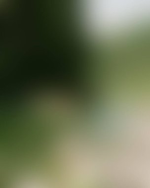 Abstract blur background of colors mixed 