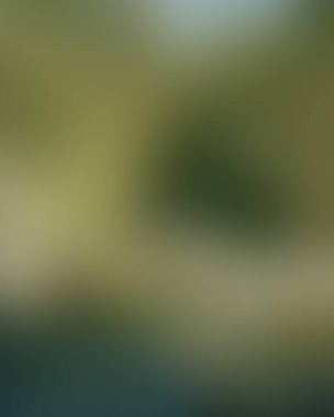 Abstract blur background of colors mixed 