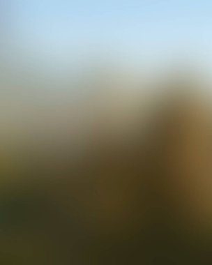 Abstract blur background of colors mixed 