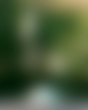 Abstract blur background of colors mixed 