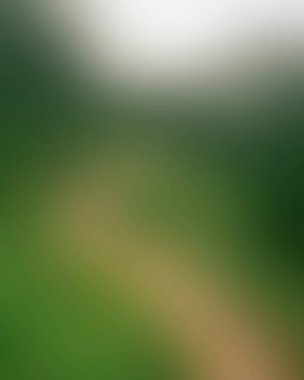 Abstract blur background of colors mixed 