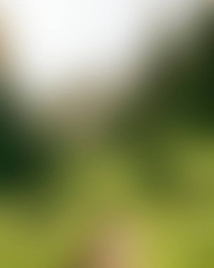 Abstract blur background of colors mixed 