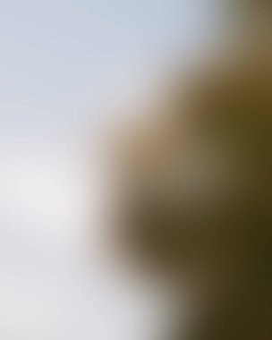 Abstract blur background of colors mixed 