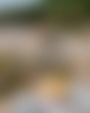 Abstract blur background of colors mixed 