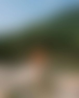 Abstract blur background of colors mixed 