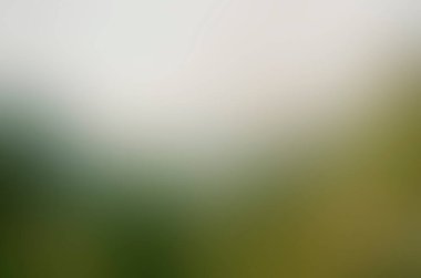 Abstract blur background of colors mixed 