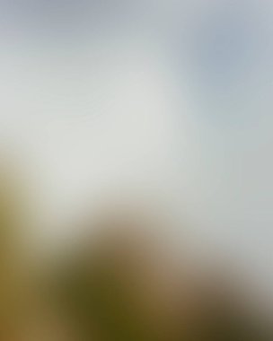 Abstract blur background of colors mixed 