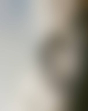 Abstract blur background of colors mixed 