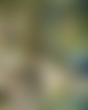 Abstract blur background of colors mixed 