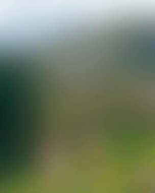 Abstract blur background of colors mixed 