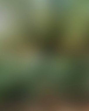 Abstract blur background of colors mixed 