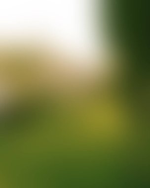 Abstract blur background of colors mixed 