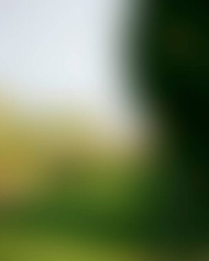 Abstract blur background of colors mixed 