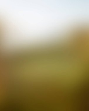 Abstract blur background of colors mixed 