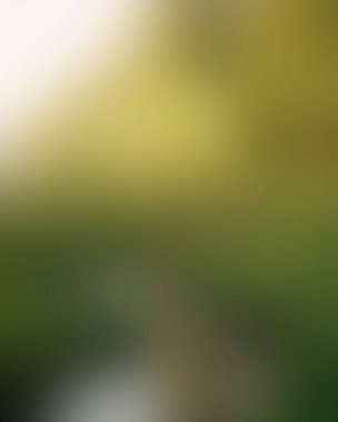 Abstract blur background of colors mixed 