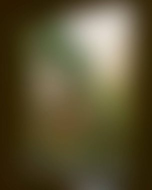 Abstract blur background of colors mixed 