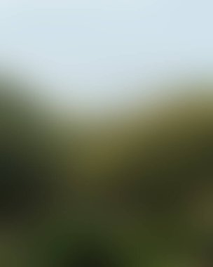 Abstract blur background of colors mixed 