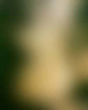 Abstract blur background of colors mixed 