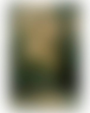 Abstract blur background of colors mixed 