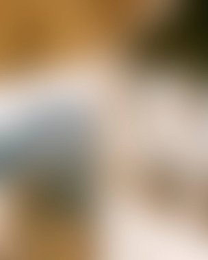 Abstract blur background of colors mixed 