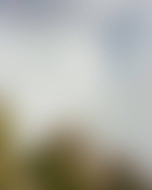 Abstract blur background of colors mixed 