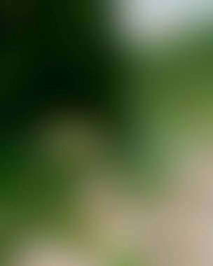 Abstract blur background of colors mixed 