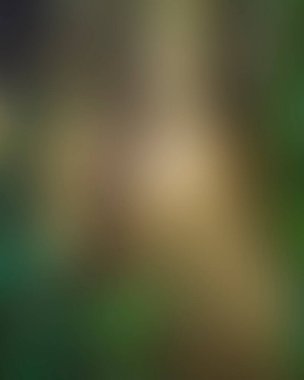 Abstract blur background of colors mixed 