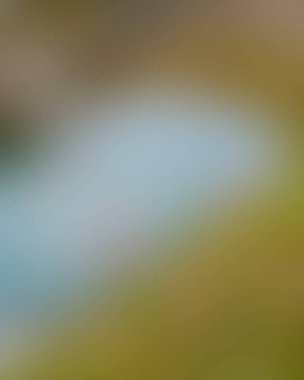 Abstract blur background of colors mixed 