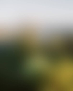 Abstract blur background of colors mixed 