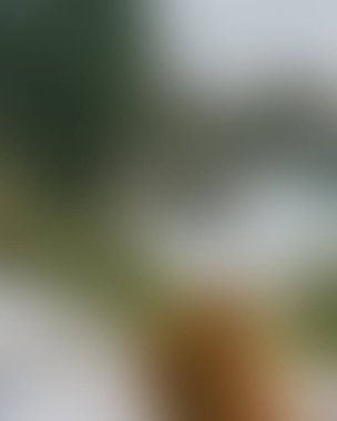 Abstract blur background of colors mixed 