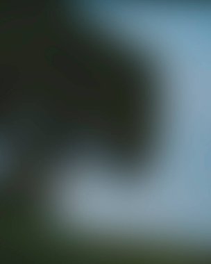 Abstract blur background of colors mixed 