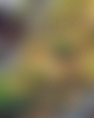 Abstract blur background of colors mixed 