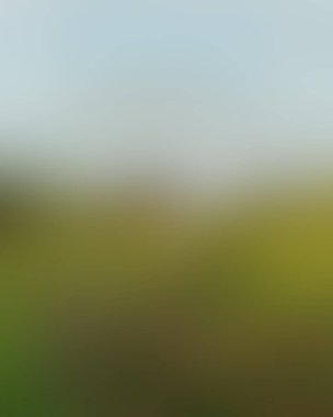 Abstract blur background of colors mixed 