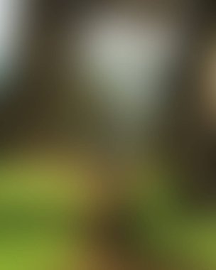 Abstract blur background of colors mixed 