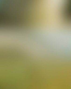 Abstract blur background of colors mixed 