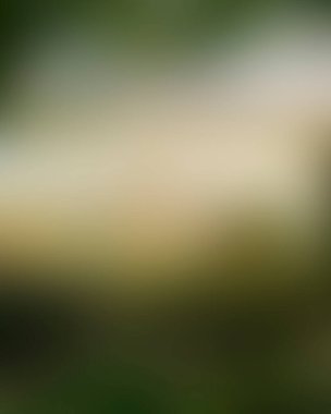 Abstract blur background of colors mixed 