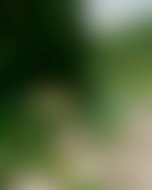 Abstract blur background of colors mixed 