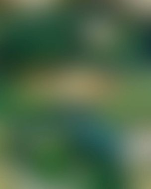 Abstract blur background of colors mixed 