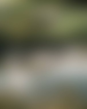 Abstract blur background of colors mixed 