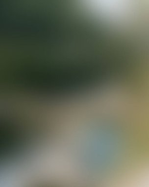 Abstract blur background of colors mixed 