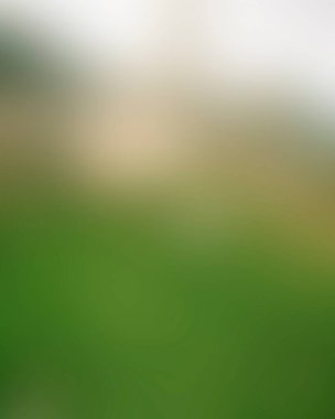 Abstract blur background of colors mixed 