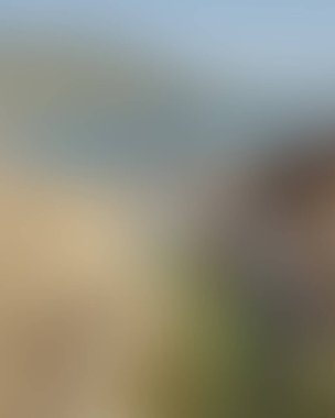 Abstract blur background of colors mixed 